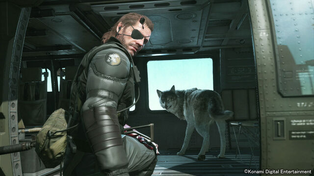 File:BigBossDD2.jpg