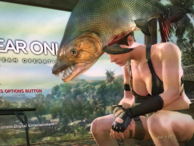 File:Metal-Gear-online-Title-Screen-Fish.jpg
