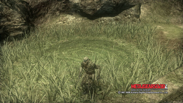 File:Crop circle.jpg