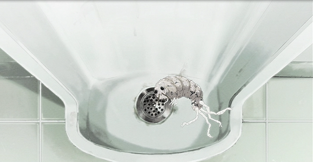 File:Weevil.png