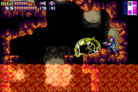 Metroid Shell.gif