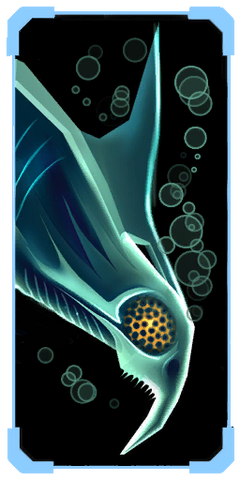 File:Aqua Pirate.png