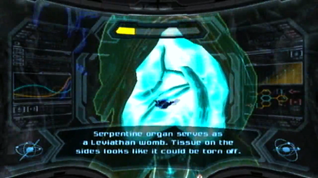 File:Leviathan womb scan.png