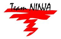 TeamNinja