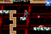 Polyp-mzm.png
