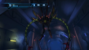 Rhedogian1