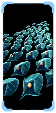 File:Scarabs scanpic.png