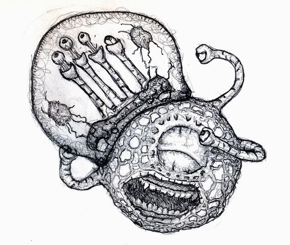 File:Metroidvsbeholder.jpg