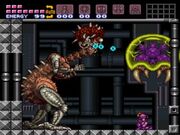 Super-metroid-mother-brain-final-battle.jpg