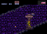 Brinstar shrooms.png