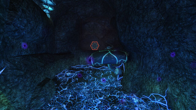 File:Quarantine Access B.jpg