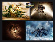24 Metriod Prime Concepts