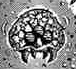 Original Metroid.jpg