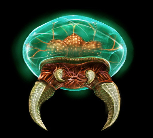 File:Tallon Metroid.png