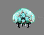 Frozen Metroid PLAN
