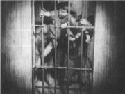 Metropolis lost5