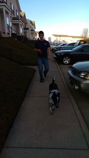 Robert dog walk