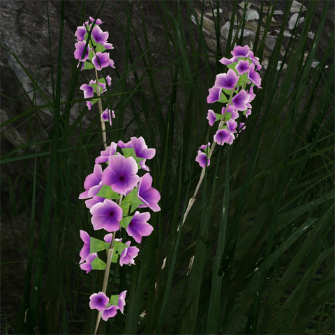 File:Pink-white prairie flower.png