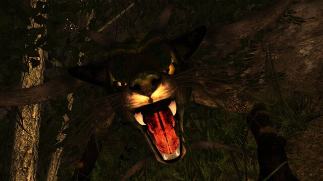 File:Creature2.jpg
