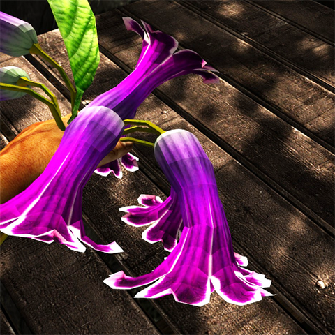 File:Tropical buttercup.png