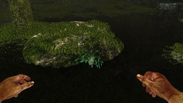 File:Bio-luminescent algae.jpg