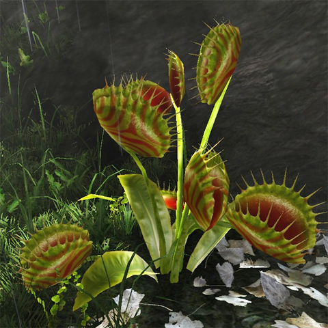 File:Carnivorous trap.png