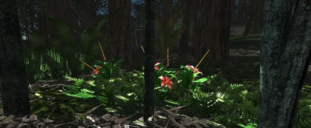 File:Large Jungle flower valley.jpg