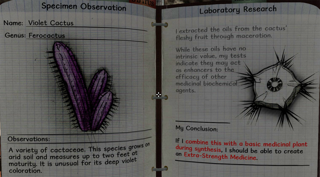 File:Violet cactus notes.png