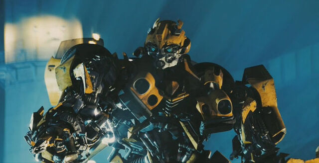 File:75BumbleB.jpg