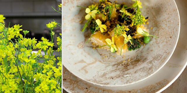 File:Meadowood food 0480.jpg