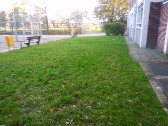 File:Alenkandar.jpg