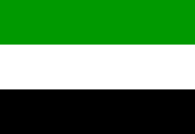 File:FlagOfMarrskarDemocratic.png