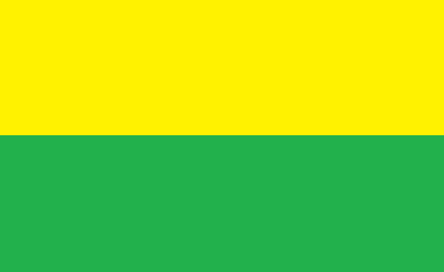 File:Belyansk Army Flag.png