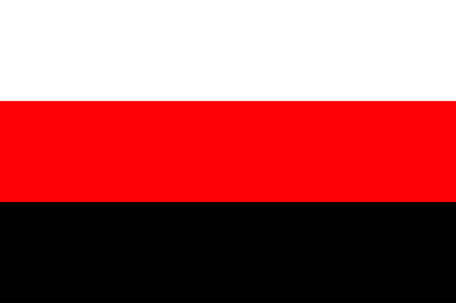 File:North Salarian Flag.png