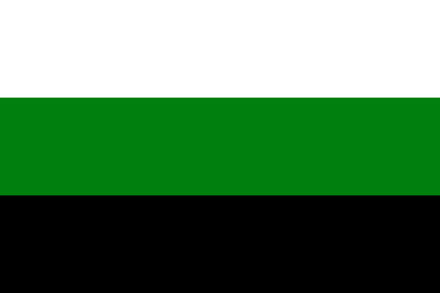 Soubor:Vlajka Sárska.png