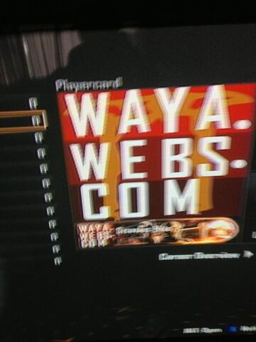 File:WayaCoDBOII.jpg