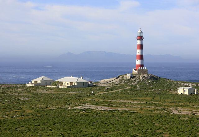 File:Dassen2.jpg