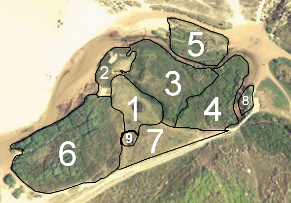 File:RoyalRegion.png
