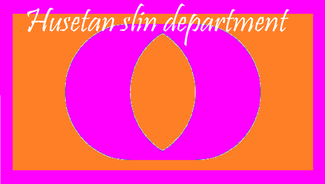 File:Husetan slin department flag.png