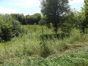 DSCF0080