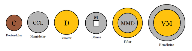 File:Coin Guide.png