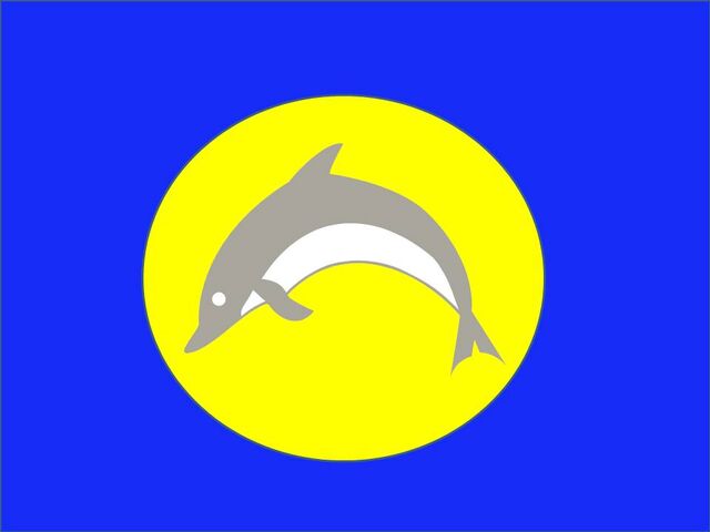File:Joes flag.jpg