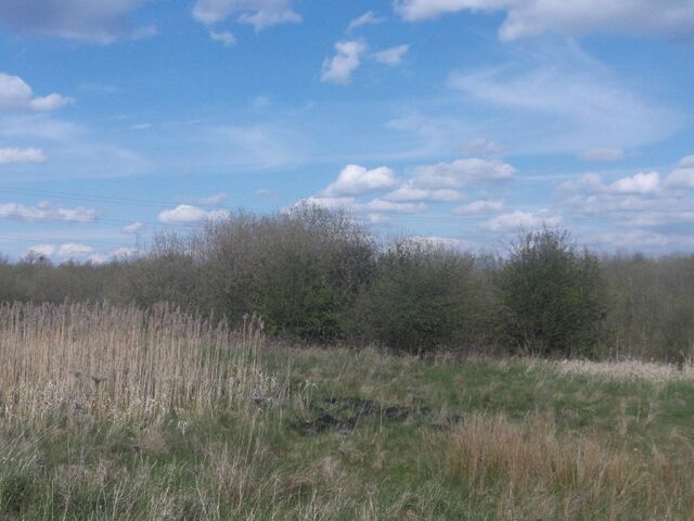 File:413922 2935935402736 137732155 o.jpg
