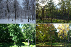 OneYear4seasons