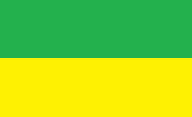 File:Flagnew.png