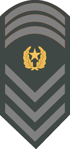 File:NEA E 9.png