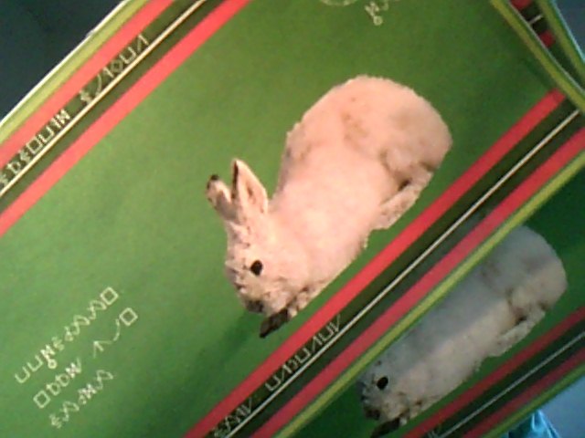 File:Snapshot 20120611.jpg