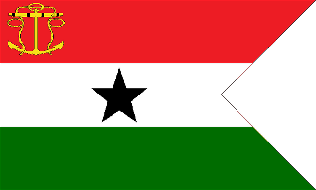 File:Salanian Commodore.png