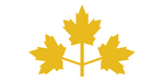 Old Kilbern Flag
