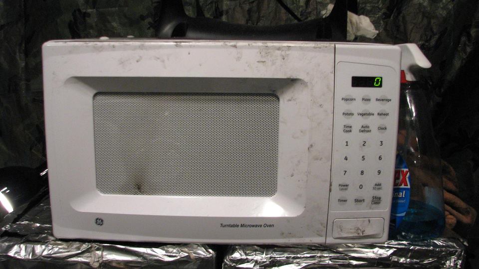Ge Turntable Microwave Bestmicrowave Lacey Is It A Good Idea To Microwave This Wiki Fandom Ed Hotpoint Countertop Turntable Oven Jes636wk Ge Bestmicrowave